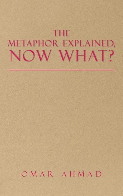 The Metaphor Explained, Now What?