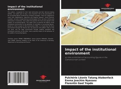 Impact of the institutional environment