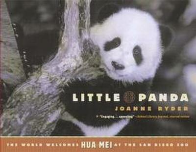 Little Panda