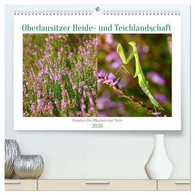 Oberlausitzer Heide- und Teichlandschaft (hochwertiger Premium Wandkalender 2026 DIN A2 quer), Kunstdruck in Hochglanz