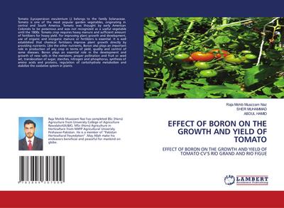 EFFECT OF BORON ON THE GROWTH AND YIELD OF TOMATO