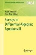 Surveys in Differential-Algebraic Equations III