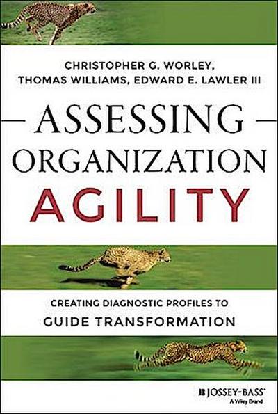Assessing Organization Agility