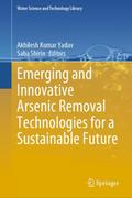 Emerging and Innovative Arsenic Removal Technologies for a Sustainable Future