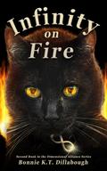 Infinity on Fire (The Dimensional Alliance 2nd edition, #2)