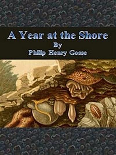 A Year at the Shore