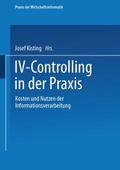 IV-Controlling in der Praxis