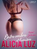 Entre ombre et lumière Partie 1 : Je le veux - Une série érotique