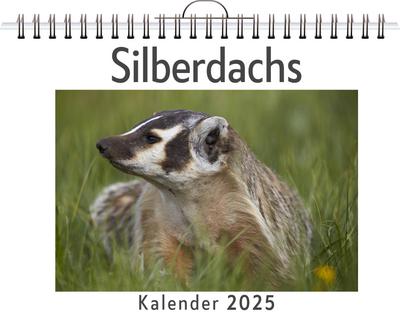 Lange, S: Silberdachs