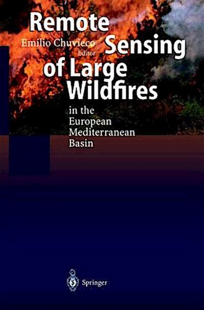 Remote Sensing of Large Wildfires