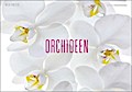 Orchideen - Magnum Kalender immerwährend