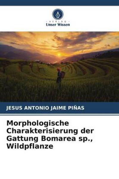 Morphologische Charakterisierung der Gattung Bomarea sp., Wildpflanze