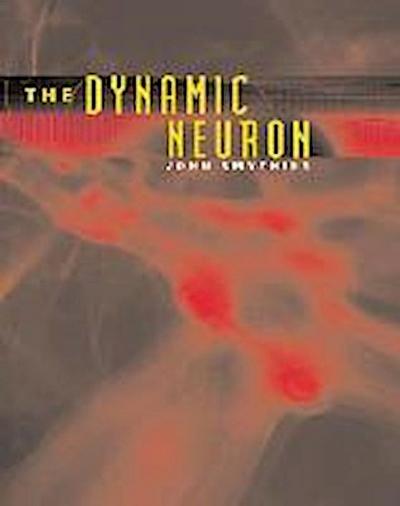 The Dynamic Neuron