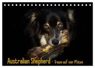 Australian Shepherd - Traum auf vier Pfoten (Tischkalender 2026 DIN A5 quer), CALVENDO Monatskalender