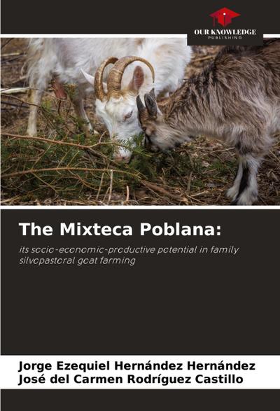The Mixteca Poblana: