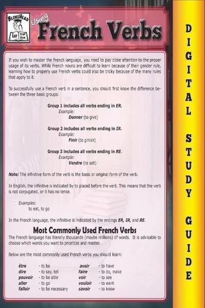 French Verbs ( Blokehead Easy Study Guide)