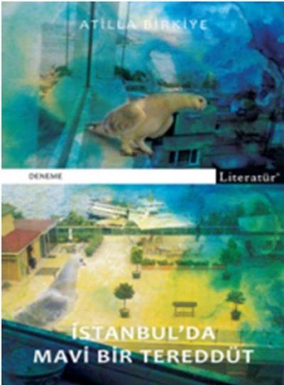 Istanbulda Mavi Bir Tereddüt