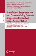Brain Tumor Segmentation, and Cross-Modality Domain Adaptation for Medical Image Segmentation