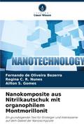 Nanokomposite aus Nitrilkautschuk mit organophilem