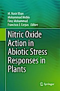 Nitric Oxide Action in Abiotic Stress Responses in Plants