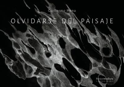 Olvidarse del paisaje