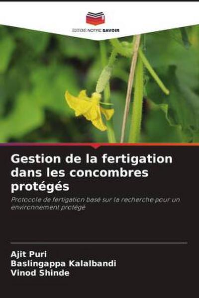 Gestion de la fertigation dans les concombres protégés