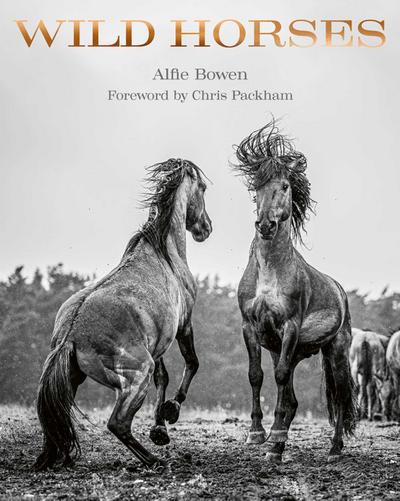 Bowen, A: Wild Horses