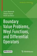 Boundary Value Problems, Weyl Functions, and Diffe