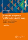 Mathematik für Ingenieure und Naturwissenschaftler 02