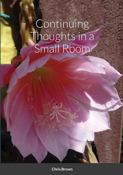 Continuing Thoughts in a Small Room