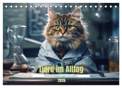 Tiere im Alltag (Tischkalender 2026 DIN A5 quer), CALVENDO Monatskalender