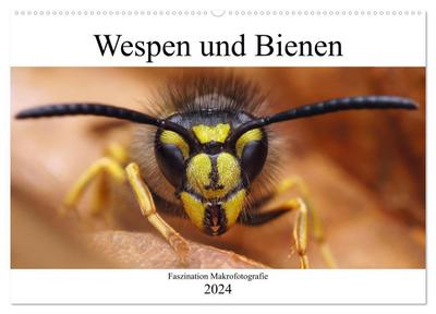 Faszination Makrofotografie: Wespen und Bienen (Wandkalender 2024 DIN A2 quer), CALVENDO Monatskalender