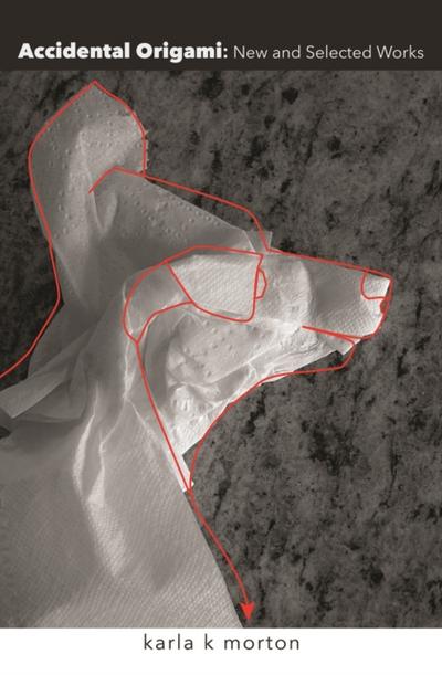 Accidental Origami