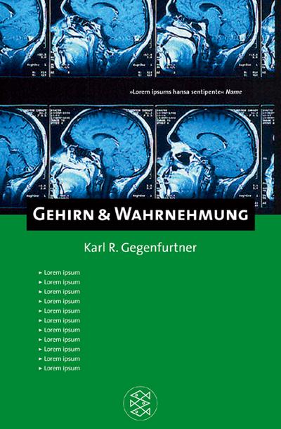 Gehirn & Wahrnehmung (Fischer Kompakt)