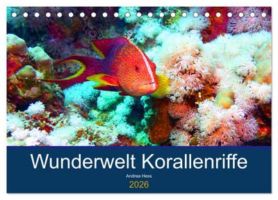 Wunderwelt Korallenriffe (Tischkalender 2026 DIN A5 quer), CALVENDO Monatskalender