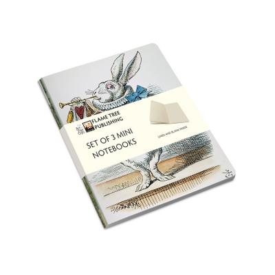 Alice in Wonderland Set of 3 Mini Notebooks