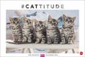 Whiskas Katzenkalender: Cattitude 2026