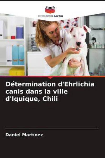 Détermination d’Ehrlichia canis dans la ville d’Iquique, Chili