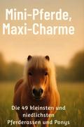 Mini-Pferde, Maxi-Charme