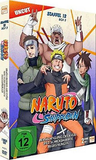 Naruto Shippuden - Staffel 12 Box 2: Episode 488-495
