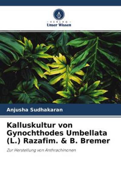 Kalluskultur von Gynochthodes Umbellata (L.) Razafim. & B. Bremer