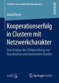 Kooperationserfolg in Clustern mit Netzwerkcharakter
