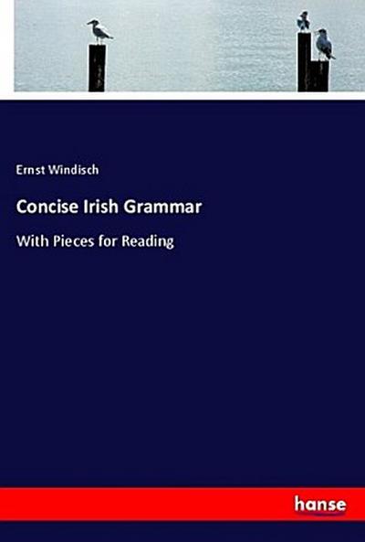 Concise Irish Grammar