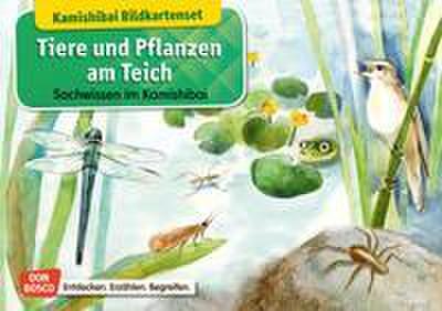 Tiere und Pflanzen am Teich