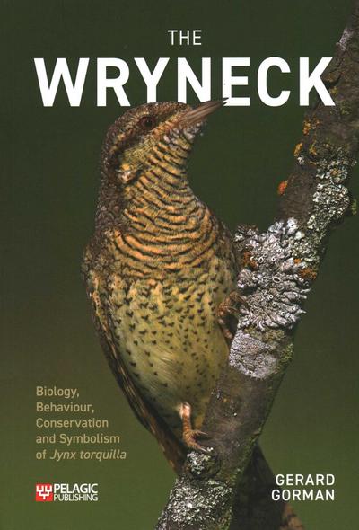 Wryneck