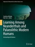 Learning Among Neanderthals and Palaeolithic Moder