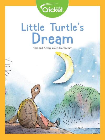 Little Turtle’s Dream