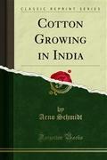 Cotton Growing in India