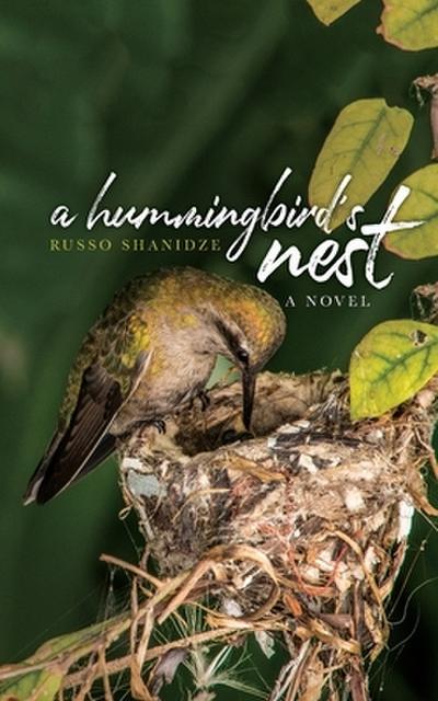A Hummingbird’s Nest