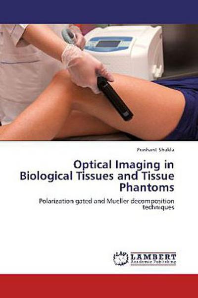 Optical Imaging in Biological Tissues and Tissue Phantoms